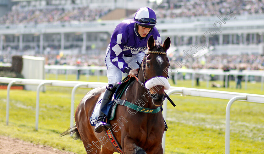 Lady-Buttons-0001 
 LADY BUTTONS (Adam Nicol) Aintree 14 Apr 2018 - Pic Steven Cargill / Racingfotos.com