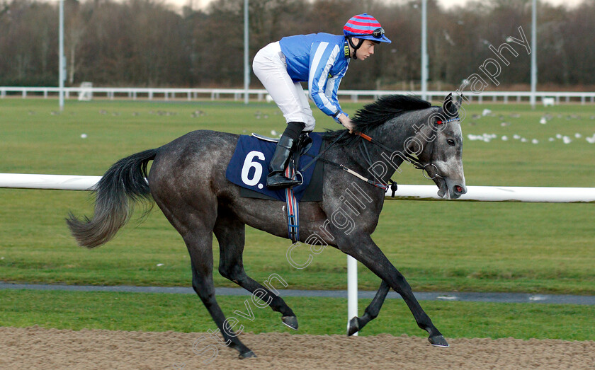 Delicious-0002 
 DELICIOUS (Callum Shepherd) winner of The Ladbrokes Bet £5 Get £20 Nursery
Wolverhampton 28 Nov 2018 - Pic Steven Cargill / Racingfotos.com