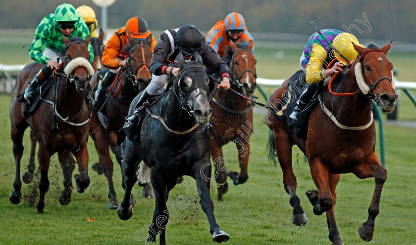 Harry s-Ridge-0009 
 HARRY'S RIDGE (right, Harrison Shaw) beats TOMAHAWK RIDGE (left) in The Download The Mansionbet App Handicap
Nottingham 4 Nov 2020 - Pic Steven Cargill / Racingfotos.com