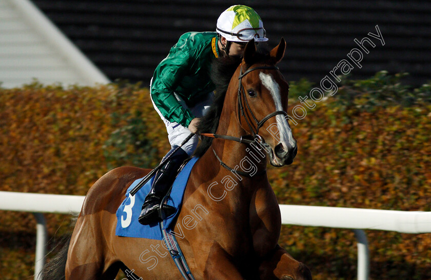 Ceilidhs-Dream-0001 
 CEILIDHS DREAM (Oisin Murphy) Kempton 8 Nov 2017 - Pic Steven Cargill / Racingfotos.com