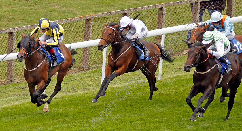 Move-To-The-Front-0003 
 MOVE TO THE FRONT (left, Adam Kirby) beats TINY TEMPEST (centre) and SHOVEL IT ON (right) in The Irish Yearling Sales Nursery Salisbury 7 Sep 2017 - Pic Steven Cargill / Racingfotos.com