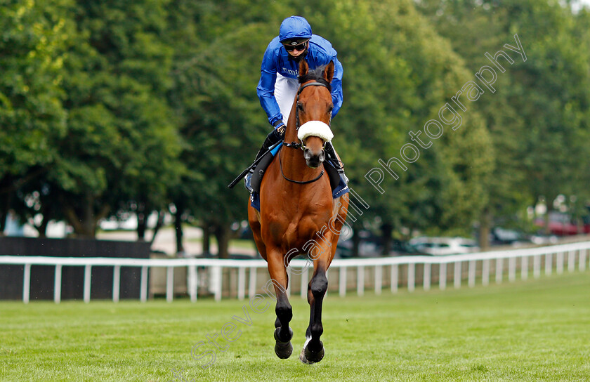 Star-Safari-0001 
 STAR SAFARI (James Doyle)
Newmarket 8 Jul 2021 - Pic Steven Cargill / Racingfotos.com