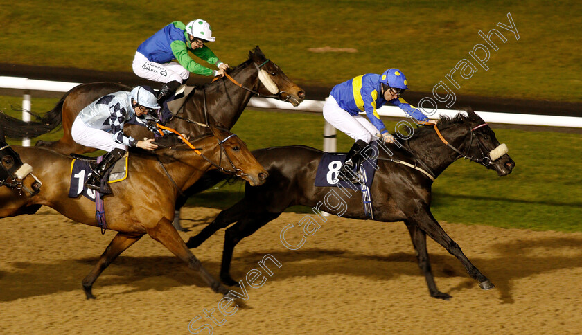 Jorvik-Prince-0003 
 JORVIK PRINCE (Tony Hamilton) beats ROYAL MEZYAN (left) in The Betway Sprint Handicap
Wolverhampton 28 Nov 2018 - Pic Steven Cargill / Racingfotos.com