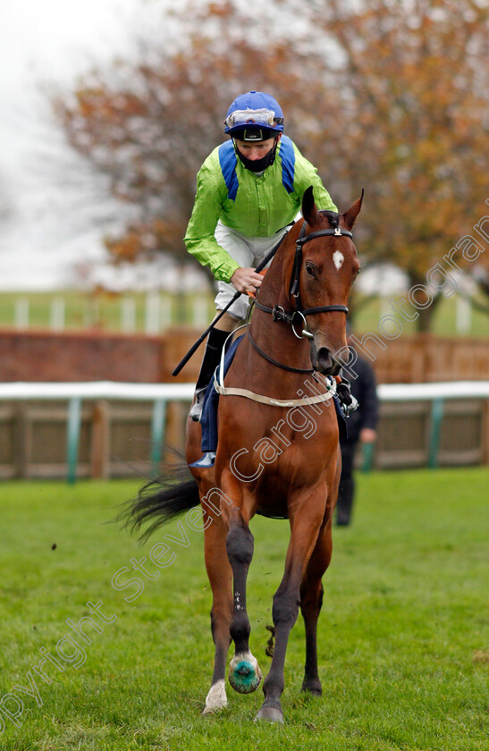 Alba-Rose-0001 
 ALBA ROSE (Joe Fanning)
Newmarket 31 Oct 2020 - Pic Steven Cargill / Racingfotos.com