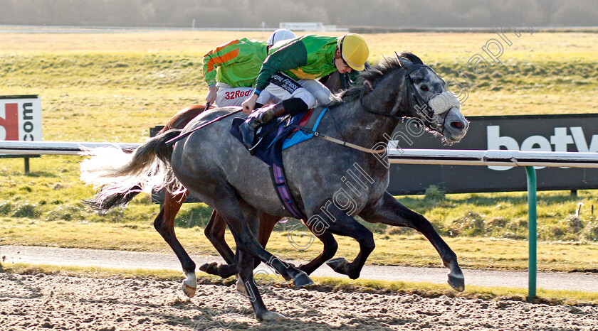 Tom s-Rock-0002 
 TOM'S ROCK (Daniel Muscutt) wins The Betway Casino Handicap Lingfield 16 Feb 2018 - Pic Steven Cargill / Racingfotos.com