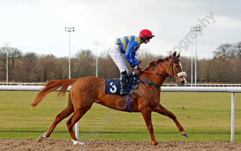 Iconic-Belle-0001 
 ICONIC BELLE (Nick Barratt-Atkin)
Wolverhampton 3 Jan 2020 - Pic Steven Cargill / Racingfotos.com