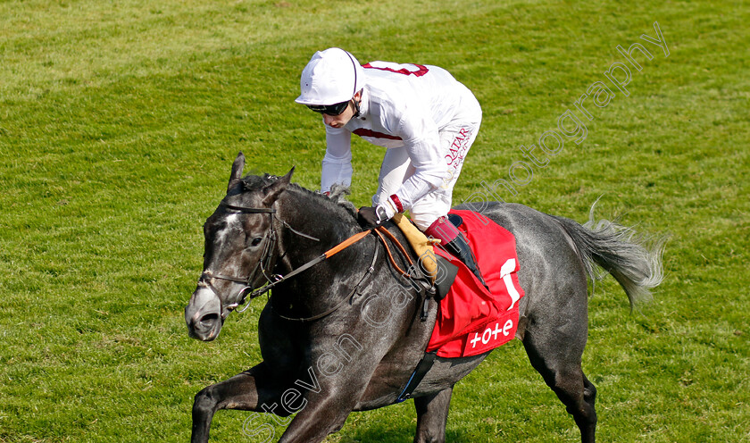 Alsakib-0001 
 ALSAKIB (Oisin Murphy)
Chester 9 May 2024 - Pic Steven Cargill / Racingfotos.com