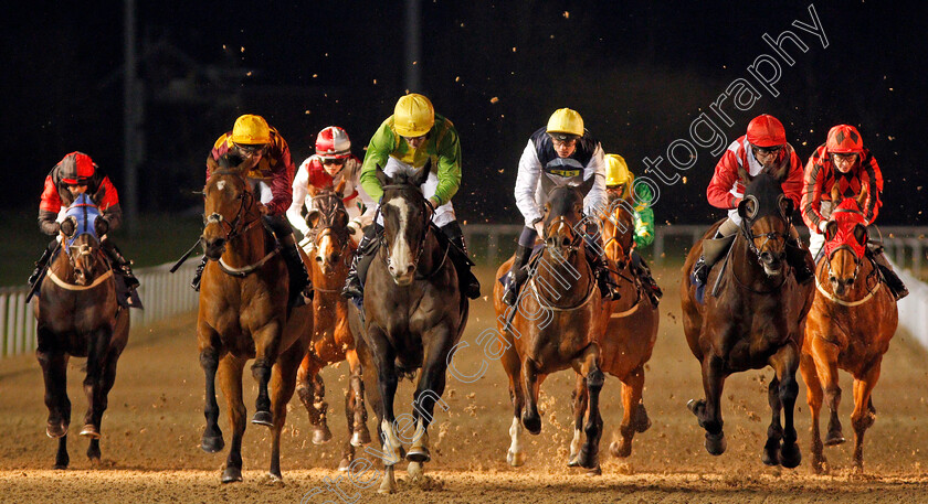 Dynamo-Walt-0002 
 DYNAMO WALT (Lewis Edmunds) wins The Betway Heed Your Hunch Handicap
Wolverhampton 19 Dec 2019 - Pic Steven Cargill / Racingfotos.com