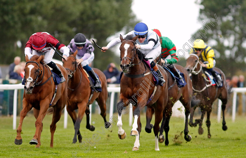 Premiere-Beauty-0004 
 PREMIERE BEAUTY (centre, Dylan Hogan) beats NAMMOS (left) in The British EBF Fillies Novice Stakes
Yarmouth 15 Sep 2022 - Pic Steven Cargill / Racingfotos.com