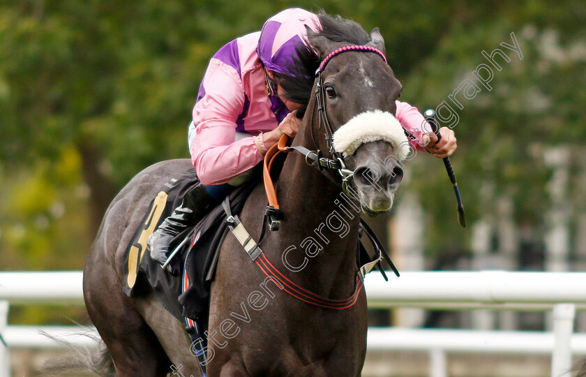 Azure-Blue-0005 
 AZURE BLUE (William Buick) wins The Turners Fillies Handicap
Newmarket 30 Jul 2022 - Pic Steven Cargill / Racingfotos.com