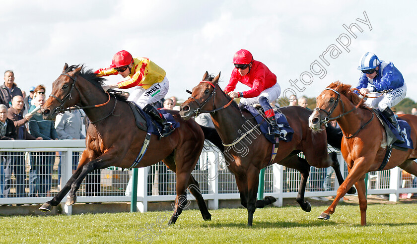 Tiger-Crusade-0003 
 TIGER CRUSADE (Jamie Spencer) beats ONE NIGHT STAND (centre) and BUHTURI (right) in The British Stallion Studs EBF Novice Stakes
Yarmouth 17 Sep 2019 - Pic Steven Cargill / Racingfotos.com