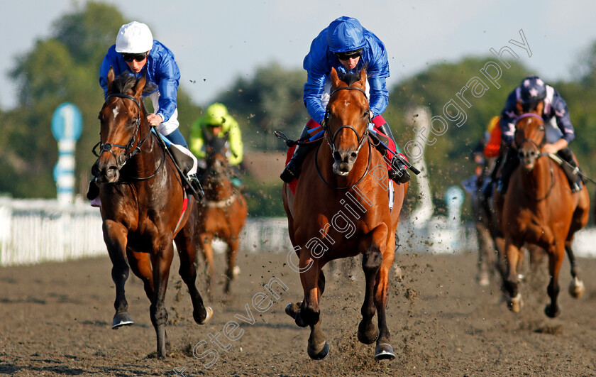 Mutafawwig-0006 
 MUTAFAWWIG (centre, Oisin Murphy) beats VALIANT PRINCE (left) in The Unibet Casino Deposit £10 Get £40 Bonus Novice Stakes Div1
Kempton 4 Aug 2021 - Pic Steven Cargill / Racingfotos.com