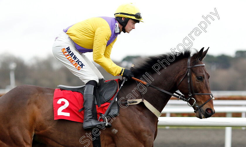 Mercian-Prince-0002 
 MERCIAN PRINCE (Jack Quinlan) winner of The Unibet Download The App Handicap Chase
Kempton 12 Jan 2019 - Pic Steven Cargill / Racingfotos.com