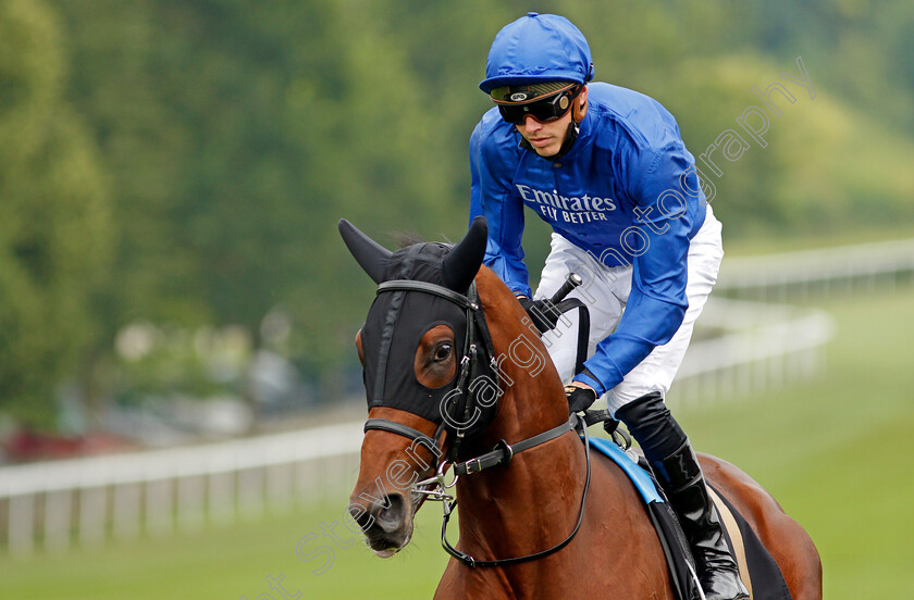 Noble-Truth-0001 
 NOBLE TRUTH (James Doyle) winner of The Weatherby's Bloodstock Pro British EBF Maiden Stakes
Newmarket 9 Jul 2021 - Pic Steven Cargill / Racingfotos.com