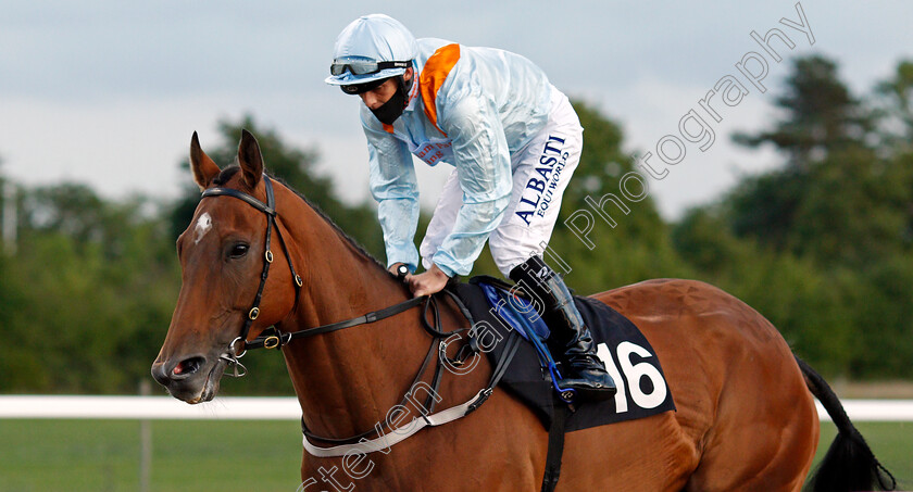 Admirality-0001 
 ADMIRALITY (Ben Curtis)
Chelmsford 22 Aug 2020 - Pic Steven Cargill / Racingfotos.com