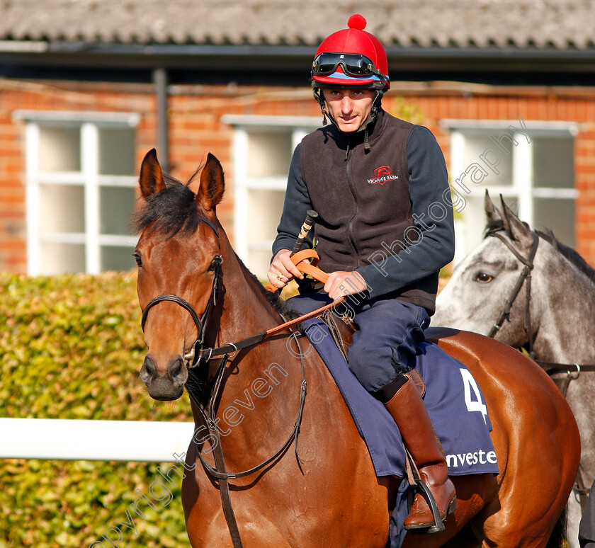 Perfect-Clarity-0008 
 PERFECT CLARITY (Adam, Kirby) before exercising at Epsom Racecourse in preparation for The Investec Oaks, 22 May 2018 - Pic Steven Cargill / Racingfotos.com