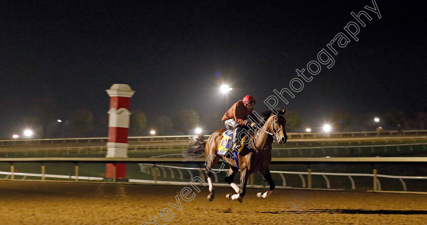 Flightline-0007 
 FLIGHTLINE training for the Breeders' Cup Classic
Keeneland USA 2 Nov 2022 - Pic Steven Cargill / Racingfotos.com