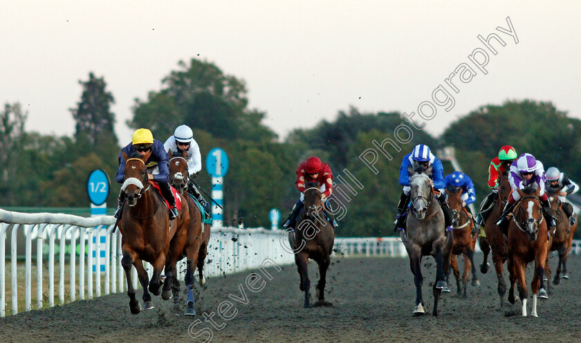 Bullfinch-0001 
 BULLFINCH (left, Jason Watson) beats ALQIFAAR (2nd right) and LONG HAIRED LOVER (right) in The Unibet Extra Place Offers Every Day Novice Stakes Div2
Kempton 18 Aug 2020 - Pic Steven Cargill / Racingfotos.com