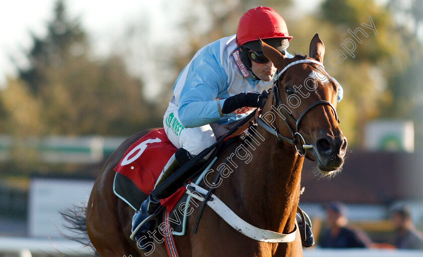 Verdana-Blue-0007 
 VERDANA BLUE (Nico De Boinville) wins The Matchbook VIP Hurdle
Kempton 21 Oct 2018 - Pic Steven Cargill / Racingfotos.com