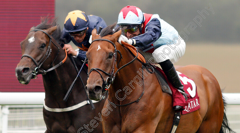 Sir-Dancealot-0004 
 SIR DANCEALOT (Gerald Mosse) wins The Qatar Lennox Stakes
Goodwood 30 Jul 2019 - Pic Steven Cargill / Racingfotos.com