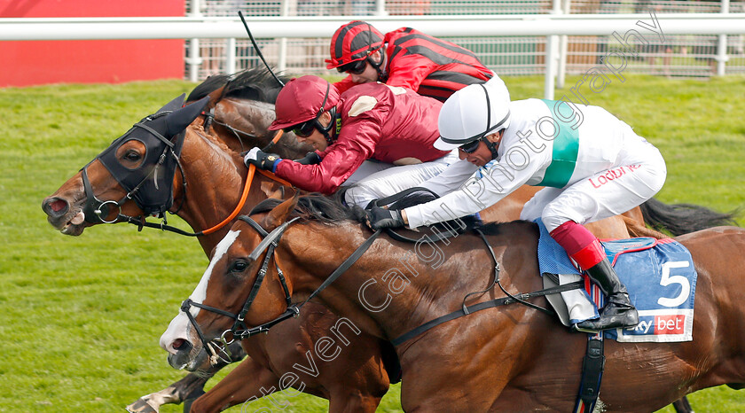 Tamreer-0005 
 TAMREER (left, Ben Curtis) beats CORELLI (right) in The Sky Bet Handicap
York 23 Aug 2019 - Pic Steven Cargill / Racingfotos.com