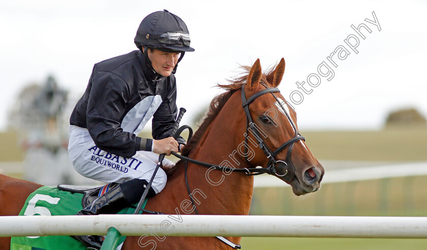 Millisle-0009 
 MILLISLE (Shane Foley) before The Juddmonte Cheveley Park Stakes
Newmarket 28 Sep 2019 - Pic Steven Cargill / Racingfotos.com