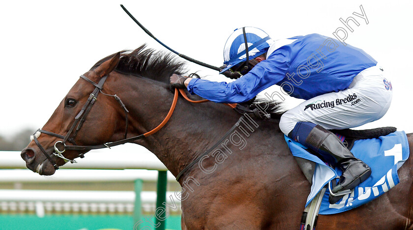 Mustashry-0007 
 MUSTASHRY (Jim Crowley) wins The Godolphin Std & Stable Staff Awards Challenge Stakes
Newmarket 11 Oct 2019 - Pic Steven Cargill / Racingfotos.com