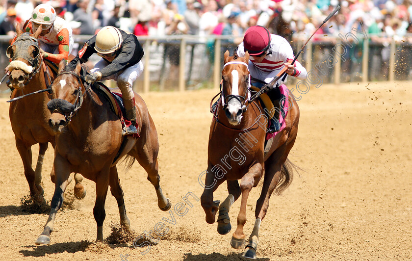 Fleeterthan-0003 
 FLEETERTHAN (right, Joel Rosario) beats CHINA CAT (left) in Maiden
Pimlico, Baltimore USA, 17 May 2019 - Pic Steven Cargill / Racingfotos.com