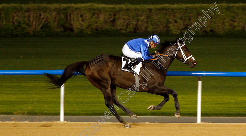 Muntazah-0006 
 MUNTAZAH (Jim Crowley) wins The Firebreak Stakes
Meydan 14 Feb 2019 - Pic Steven Cargill / Racingfotos.com