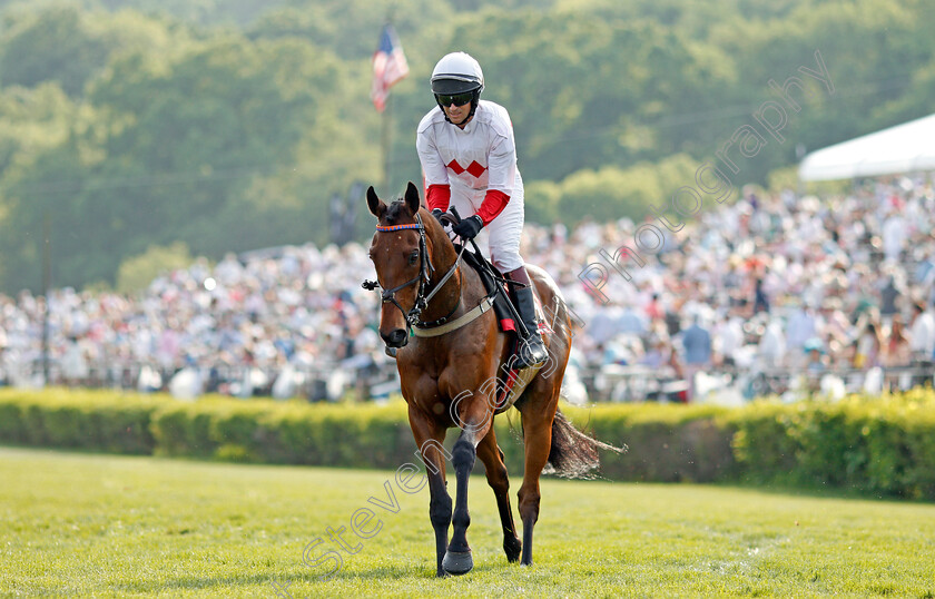 Zanjabeel-0002 
 ZANJABEEL (Ross Geraghty) before winning The Calvin Houghland Iroquois Hurdle Grade 1, Percy Warner Park, Nashville 12 May 2018 - Pic Steven Cargill / Racingfotos.com