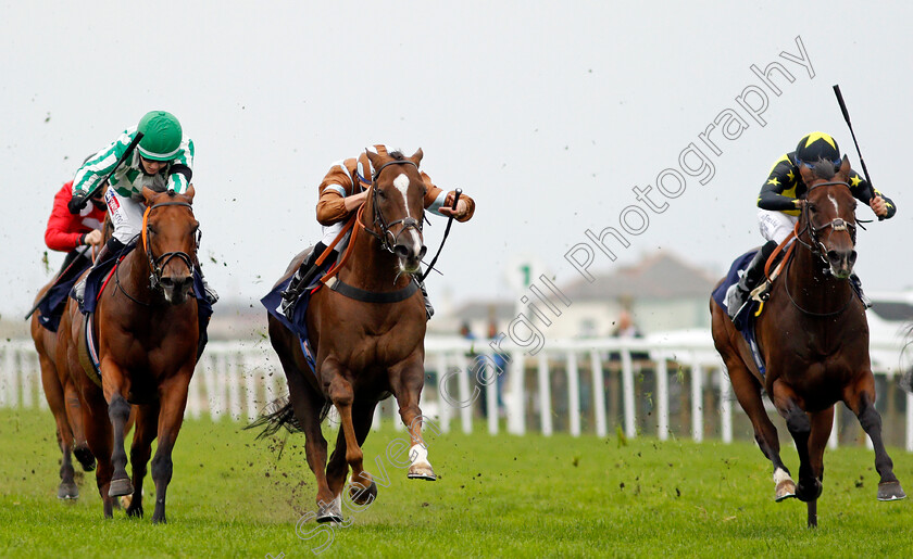 Caspian-Prince-0003 
 CASPIAN PRINCE (centre, Tom Marquand) beats TEXTING (left) and BLUE DE VEGA (right) in The Free Tips Daily On attheraces.com Handicap
Yarmouth 16 Sep 2020 - Pic Steven Cargill / Racingfotos.com