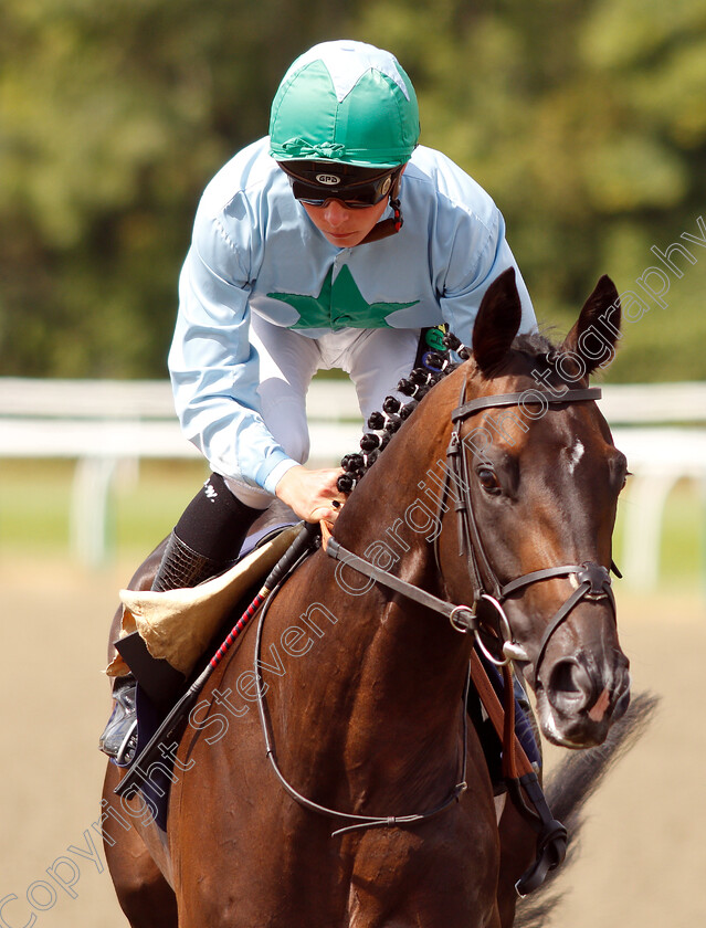 Soldier-To-Follow-0001 
 SOLDIER TO FOLLOW (Jason Watson)
Lingfield 25 Jul 2018 - Pic Steven Cargill / Racingfotos.com