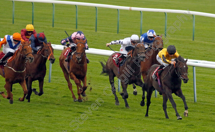 Luther-0005 
 LUTHER (Daniel Tudhope) wins The Betfair Ascendant Stakes
Haydock 7 Sep 2024 - Pic Steven Cargill / Racingfotos.com