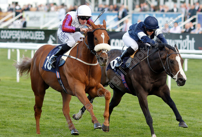 Von-Blucher-0002 
 VON BLUCHER (left, Cam Hardie) beats NORMANDY BARRIERE (right) in The Lakeside Village Outlet Shopper Handicap
Doncaster 14 Sep 2018 - Pic Steven Cargill / Racingfotos.com