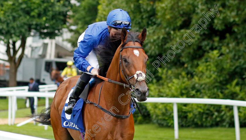 Dubai-Future-0001 
 DUBAI FUTURE (Pat Cosgrave)
Sandown 26 May 2022 - Pic Steven Cargill / Racingfotos.com