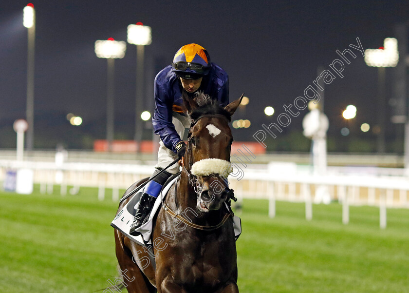 Tohoku-0001 
 TOHOKU (Connor Beasley)
Meydan 2 Feb 2024 - Pic Steven Cargill / Racingfotos.com