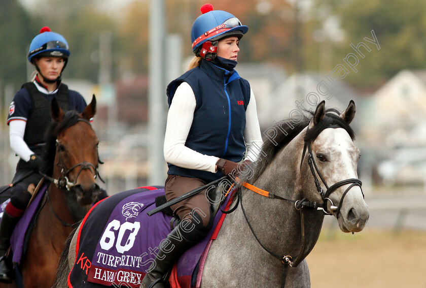 Havana-Grey-0002 
 HAVANA GREY exercising ahead of The Breeders' Cup Turf Sprint
Churchill Downs USA 30 Oct 2018 - Pic Steven Cargill / Racingfotos.com