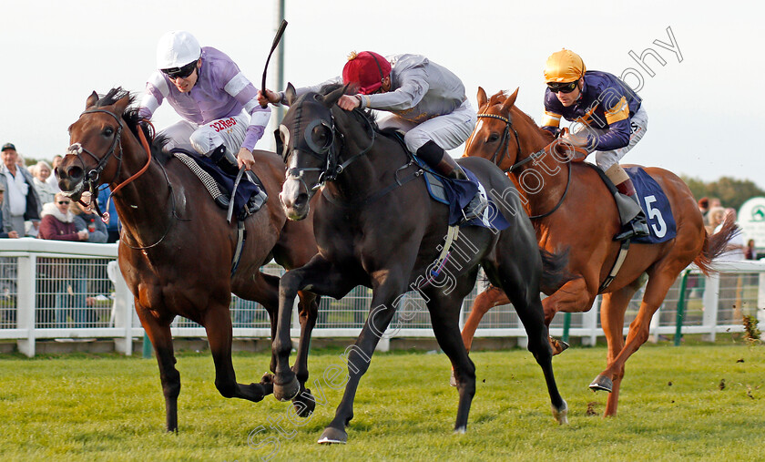 Mazyoun-0003 
 MAZYOUN (right, James Doyle) beats HUGIN (left) in The iNTU Chapelfield Shopping Centre Norwich Handicap Yarmouth 21 Sep 2017 - Pic Steven Cargill / Racingfotos.com