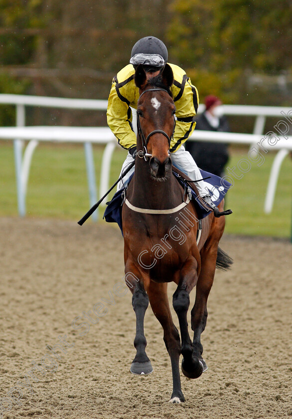 Gone-Mad-0001 
 GONE MAD (Nicola Currie)
Lingfield 26 Mar 2021 - Pic Steven Cargill / Racingfotos.com