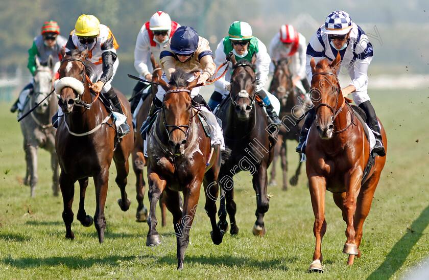 Maystar-0004 
 MAYSTAR (centre, Hollie Doyle) beats BOTCH (right) in The Prix Moonlight Cloud
Deauville 9 Aug 2020 - Pic Steven Cargill / Racingfotos.com