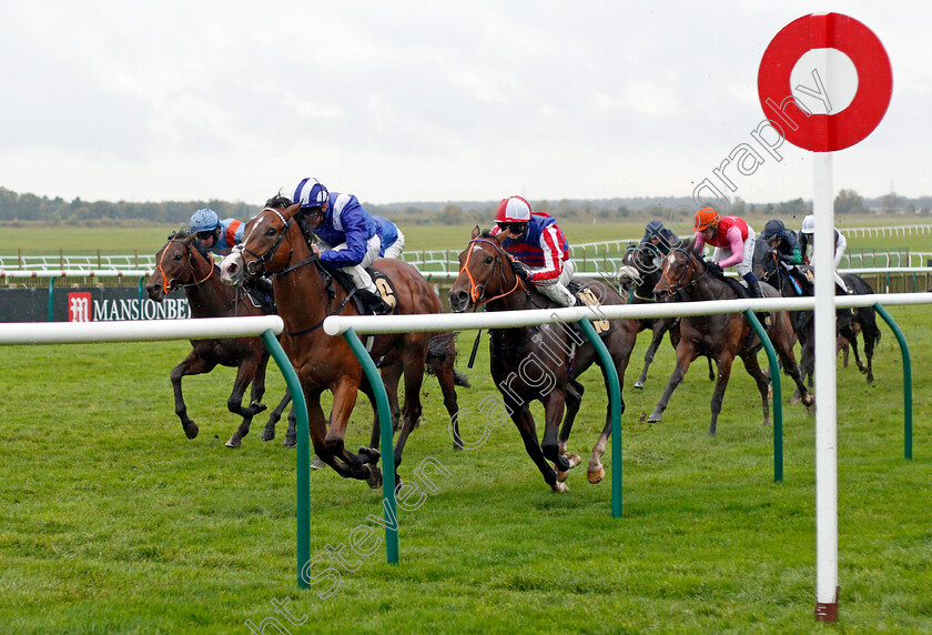 Numoor-0004 
 NUMOOR (Dane O'Neill) wins The Bet 10 Get 20 At Mansionbet Nursery
Newmarket 21 Oct 2020 - Pic Steven Cargill / Racingfotos.com