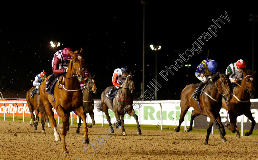 Cry-Wolf-0002 
 CRY WOLF (Rossa Ryan) wins The Betway Handicap
Wolverhampton 28 Nov 2018 - Pic Steven Cargill / Racingfotos.com