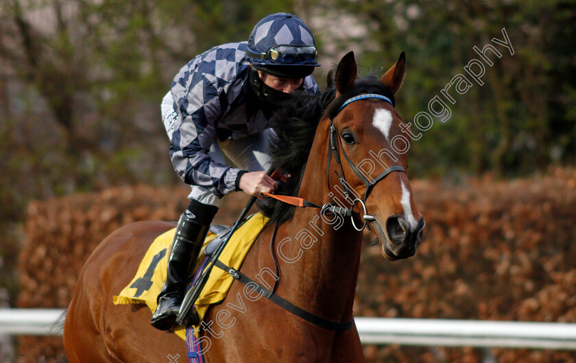 Denable-0002 
 DENABLE (William Carson)
Kempton 31 Mar 2021 - Pic Steven Cargill / Racingfotos.com