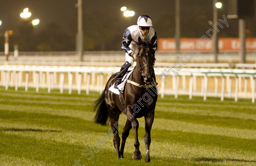 Al-Fajir-Mukbile-0001 
 AL FAJIR MUKBILE (Fabrice Veron)
Meydan 10 Jan 2019 - Pic Steven Cargill / Racingfotos.com