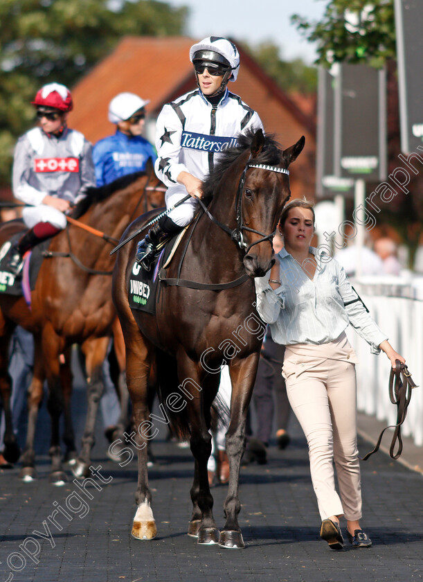 Mystery-Angel-0001 
 MYSTERY ANGEL (Ben Curtis)
Newmarket 24 Sep 2021 - Pic Steven Cargill / Racingfotos.com