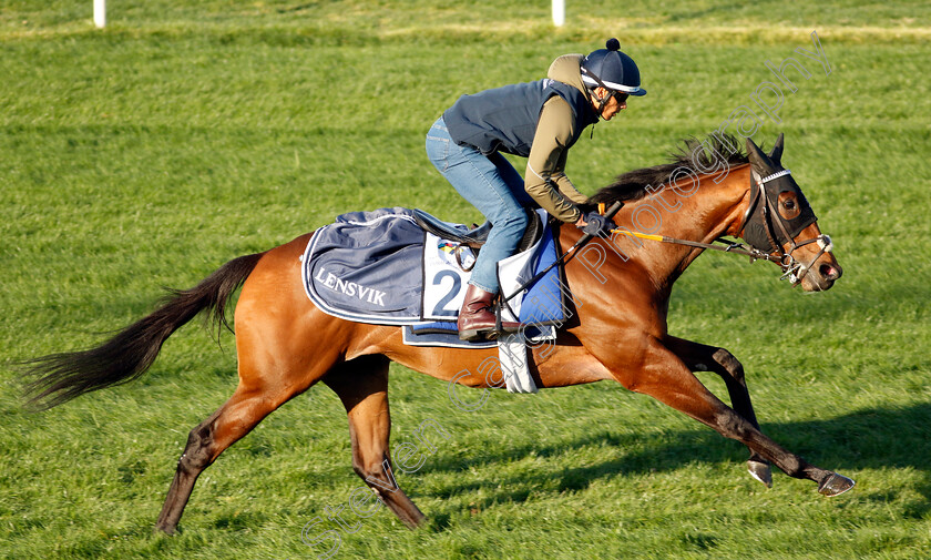 Havandi-0001 
 HAVANDI training at the Dubai Racing Carnival
Meydan 22 Jan 2025 - Pic Steven Cargill / Racingfotos.com