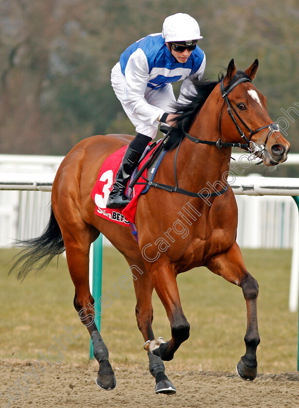 Humbert-0001 
 HUMBERT (James Doyle) Lingfield 3 Mar 2018 - Pic Steven Cargill / Racingfotos.com