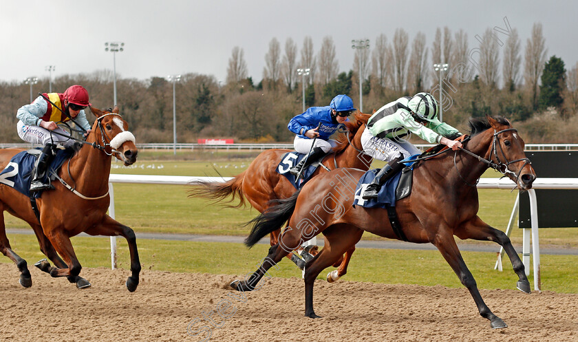 Fiordland-0003 
 FIORDLAND (Ryan Moore) wins The Bombardier March To Your Own Drum Novice Stakes
Wolverhampton 13 Mar 2021 - Pic Steven Cargill / Racingfotos.com