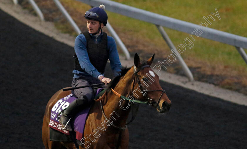 Highfield-Princess-0003 
 HIGHFIELD PRINCESS training for the Breeders' Cup Turf Sprint
Keeneland USA 1 Nov 2022 - Pic Steven Cargill / Racingfotos.com