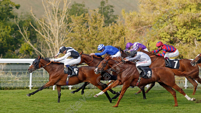 Victory-Chime-0008 
 VICTORY CHIME (Hector Crouch) beats TYSON FURY (right) in The Best of British Events Foundation Stakes
Goodwood 22 Sep 2021 - Pic Steven Cargill / Racingfotos.com